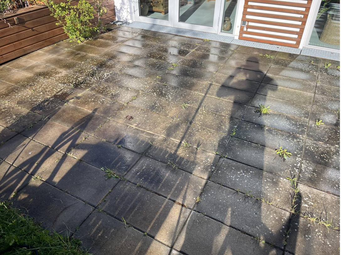 Fliseterrasse før rensning - tydelig algevækst